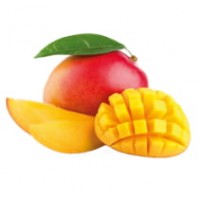 Mangue